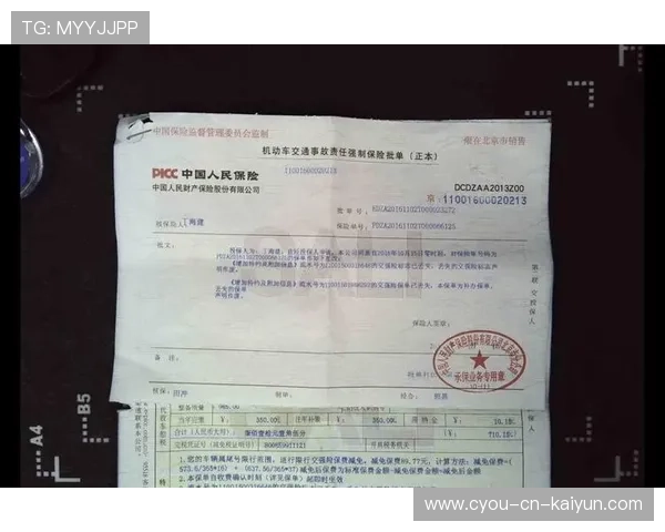 解析美加墨世界杯的“绿卡看球便利”：中国球迷持票申签的成功案例分享。